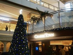 -CHARLIETOWN红茶公司(南京万象天地店)