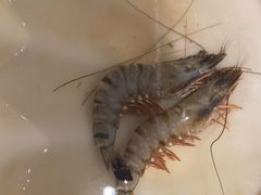 -赶海部落海鲜城(海阳路店)