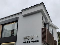 -枣子树·素食餐厅(普陀山店)