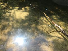 -碓臼峪自然风景区
