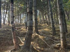 -北京鹫峰国家森林公园