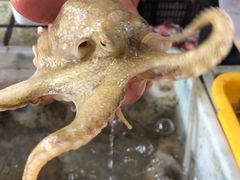 -老字号蛇口德记烧腊饭店·海鲜加工
