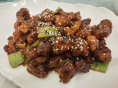 -正阳春烤鸭(华捷道店)