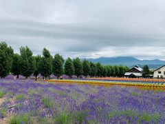 -富田农场