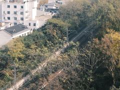 -黄鹤楼