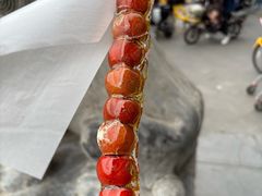 -和禄德冰糖葫芦