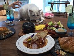 -瞄一喵猫咖(格力海岸店)