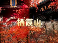 -南京金陵饭店