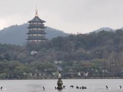 -西湖外事游船(花港观鱼码头)