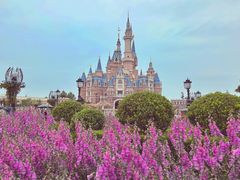 -上海迪士尼度假区