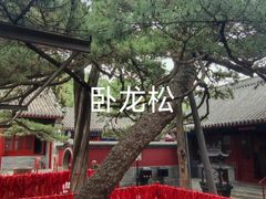 -红螺寺