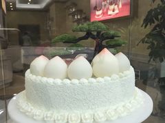 -蒲公英(五里店)