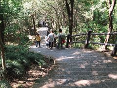 -紫金山山顶公园