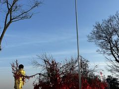 -冶父山国家森林公园