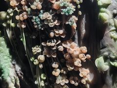 -深圳珠宝博物馆