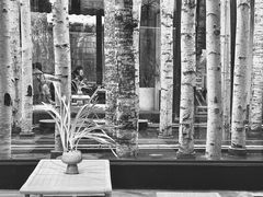 -Metal hands·铁手咖啡