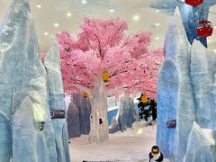 -湘江欢乐城欢乐雪域