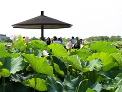 -梁鸿国家湿地公园