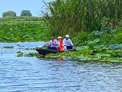-洪湖生态旅游区