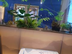 -马家斑.鲜鱼火锅(松湖万科店)