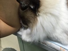 -宠颐生中康贝怡动物医院