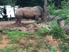 -清迈夜间动物园