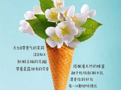 -野人先生现做冰淇淋(西安赛格店)