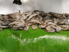 -亚马逊环球美食百汇(新城吾悦广场店)