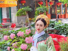 -白家大院·王府宫廷菜(苏州街店)