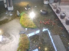 -几荷·恰似故人来(秀水广场店)