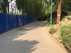 -皇家御河游(紫御湾码头)