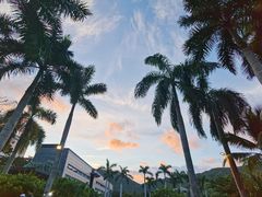 -柏悦酒店-沁园牛排海鲜西餐厅