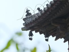 -独乐寺