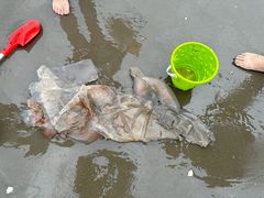 -启东黄金海滩景区