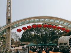 -南山植物园