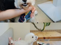 -小意思咖啡店(草桥店)