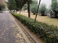 -南京航空航天大学(明故宫校区)