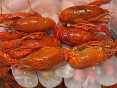 -杨氏青龙虾·羊蝎子(托乐嘉店)
