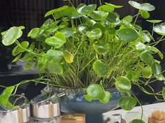 -渔码头食府·20年蓬莱老字号(登州路店)