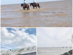 -南汇嘴观海公园