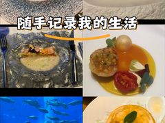-亚特兰蒂斯•OSSIANO奥西亚诺海底餐厅