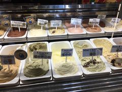 -Dooley's Premium Ice Cream