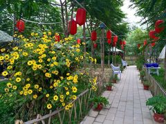 iphone_upload_pic-草根堂农场