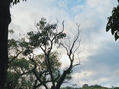 -潮镇老尾牛杂(环城西路店)