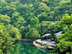 -祁门牯牛降观音堂风景区