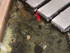 -华夏良子·足道SPA艾灸(翠微店)