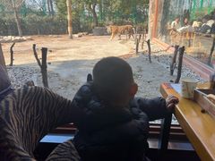 -上海野生动物园老虎餐厅