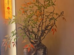 -炊江南·上海菜(国展华漕店)