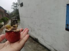 -丹山赤水风景名胜区