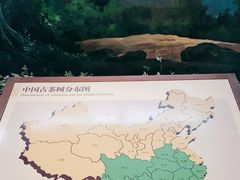 -中国茶叶博物馆(双峰馆区)
